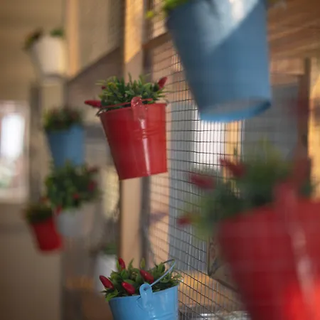 B&B Terrazza Santa Chiara 카타니아