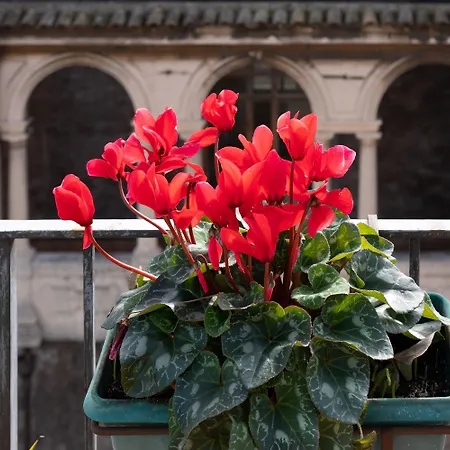 Terrazza Santa Chiara ベッド・アンド・ブレックファスト